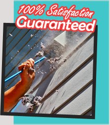 Reliable Carpet Cleaners